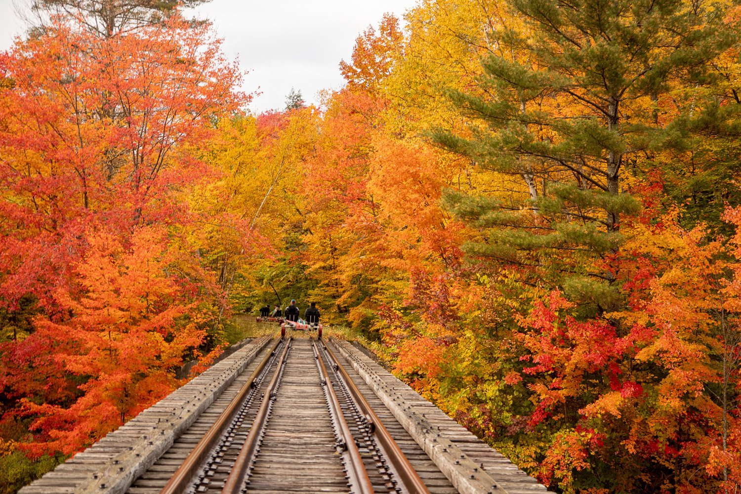 🚲 오다테·코사카 철도 레일바이크 이미지 9